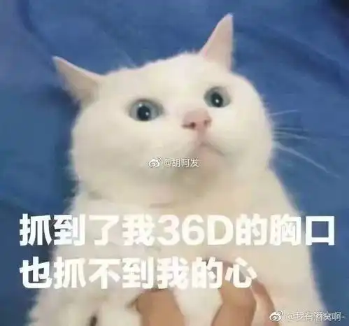  python中的for循环