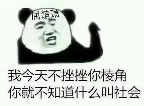  追星女孩的沙雕表情包合集