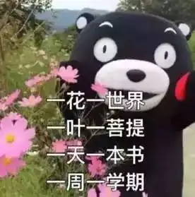  大学四年,我get了这些神技能,你呢