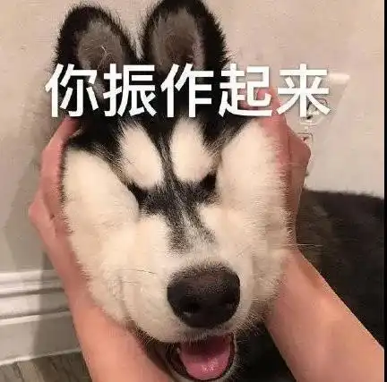  讲真化妆师强推的妆前乳0毛孔不浮粉