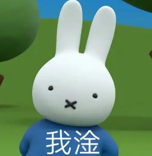  火爆一姐抛弃二婚老公的瓜