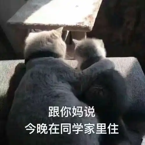  有没有什么移动电信卡适合玩游戏