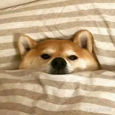  女学生可以喜欢一个女老师到什么程度