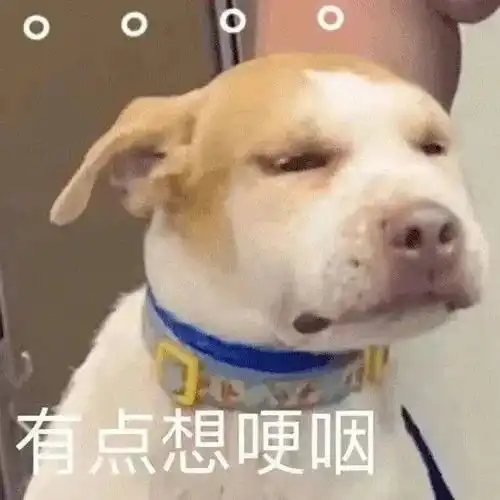  我,干了3年hr,熟读劳动法,自己450块工资要不回来