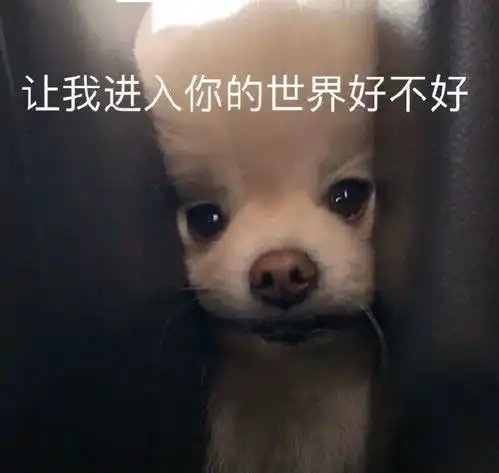 沙雕表情包5月加油