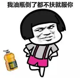  能用表情包说的话坚决不打字