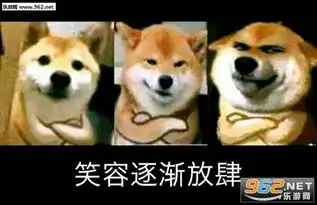  笑容逐渐放肆柴犬表情包瘫倒表情包图片下载乐游网游戏下载
