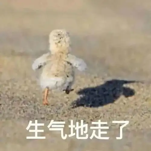  沙雕表情包丨什么段位啊,对我指手画脚