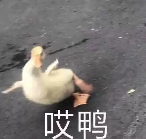 进城了表情包沙雕