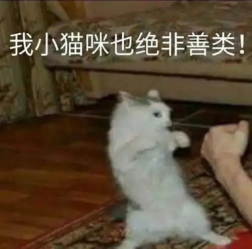 隐藏图表情包我喜欢你大