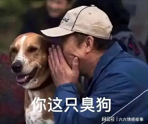  网评体味小的几种狗,就算不洗澡,身上也香
