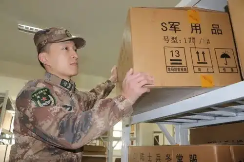  这一年,他们拼了