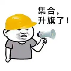 表情升国旗全套表情包