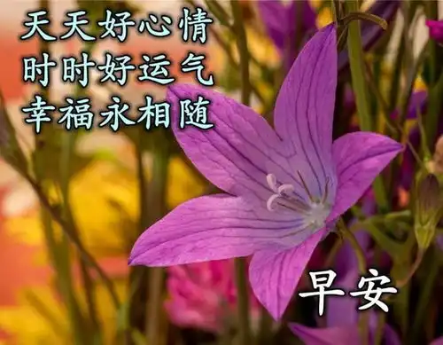  早安心语正能量问候哲理语录最新早上好祝福带字图片