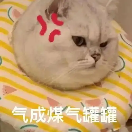  表情包曾经小小少年如今又大又圆