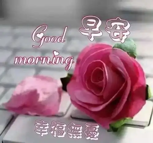  超漂亮的早晨好表情包,早上好微信朋友圈温馨问候语