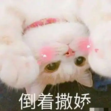  来自七大姑八大姨的好意,今年我领了