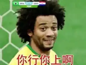  世界杯表情包,确定不了解一下