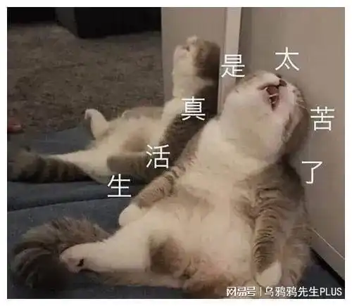  有哪些可以笑一辈子的笑话