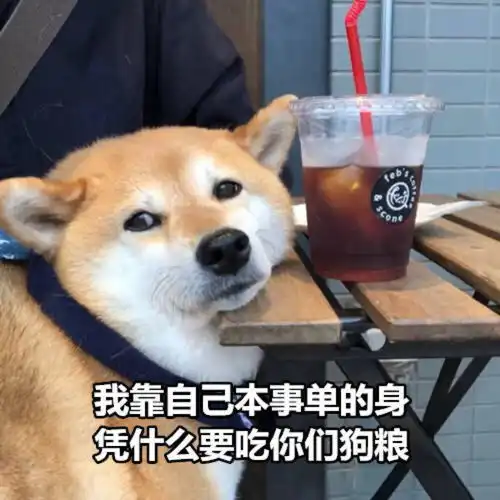 发工资表情包沙雕丑狗
