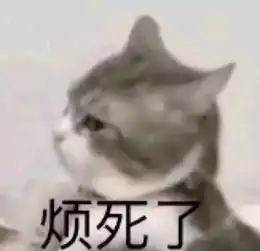  表情包