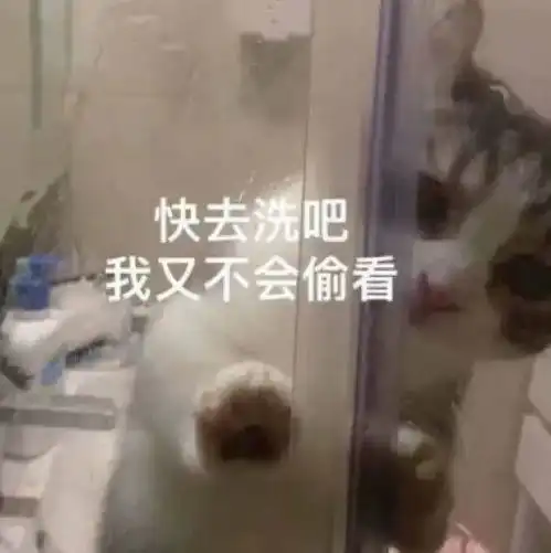  我这个人很需要钱腾讯新闻