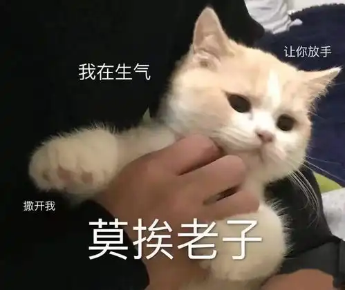  你有什么套路男朋友的表情包嘛
