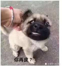  国服李白青莲剑仙