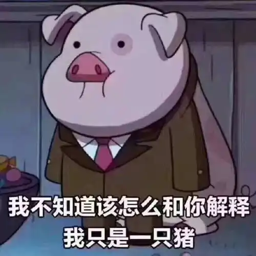  新年第一份香喷喷的猪猪资讯,吸猪这一篇就够了