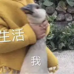 沙雕表情包l美女干饭不问吨数