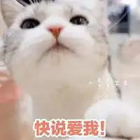  带快说爱我的表情包微信头像图片大全