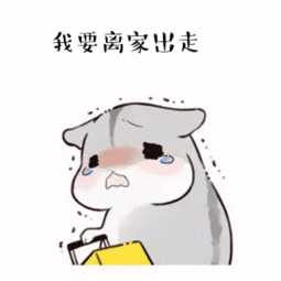  仓鼠动态表情包合集再不哄我,你就要失去我