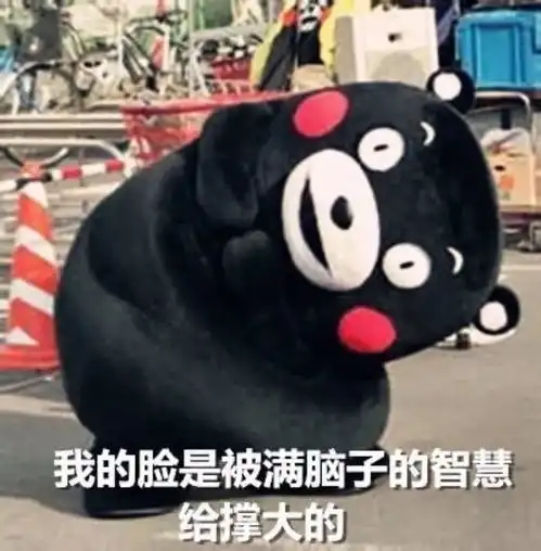猥琐猫人脸表情包全集猥