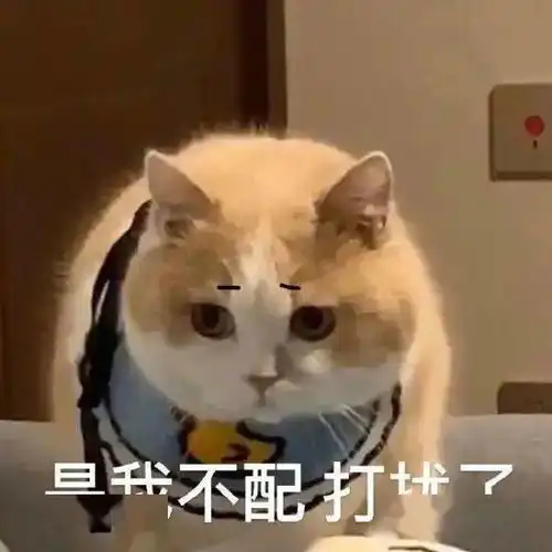  高考放榜时,网络出国热然而留学生们正