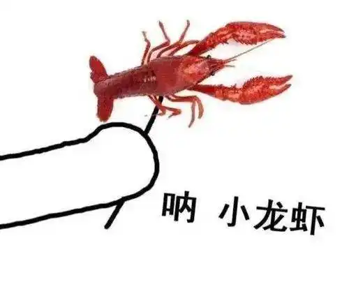  解剖小龙虾获清华北大保送资格让热爱抵岁月漫长