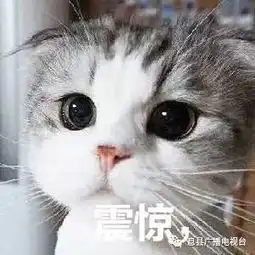  明天起,信阳这三条路要禁行一个月,罗山人外出绕行方案在这里