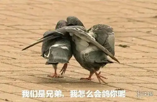  参与评论送旁观者2激活码,愚人节活动开奖啦
