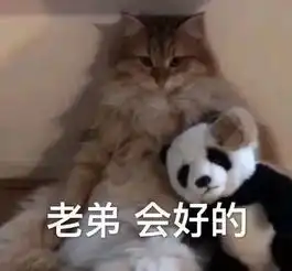  亲眼看着儿子折断我的口红,我这是多少天没打他了