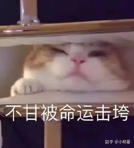 瞳代私自抬价属于违规吗 瞳代私自抬价属于违规吗