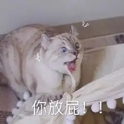 斗图小表情11.12