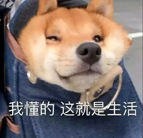  如何合法盗墓
