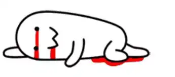  你我本无缘,全靠份子钱