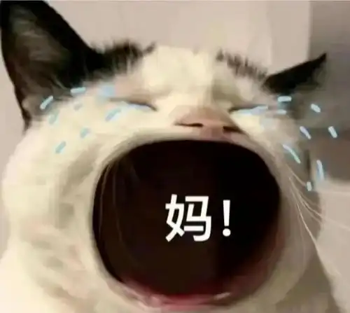  高考后我们失去的东西
