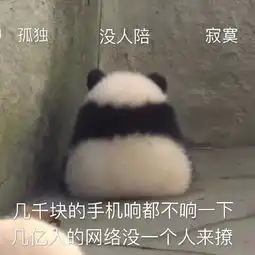  笑多了会怀孕天啦几个女的打起架来居然这么凶