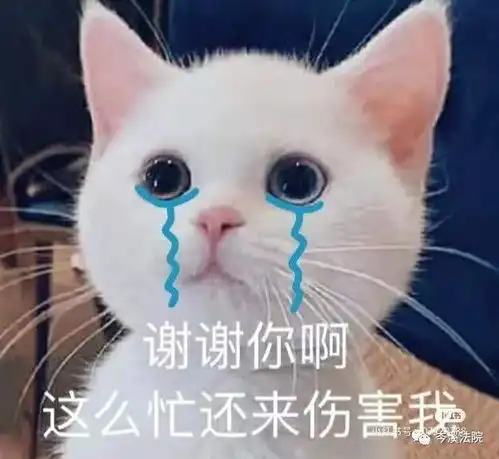  以案释法建房导致邻居楼房开裂该由谁担责