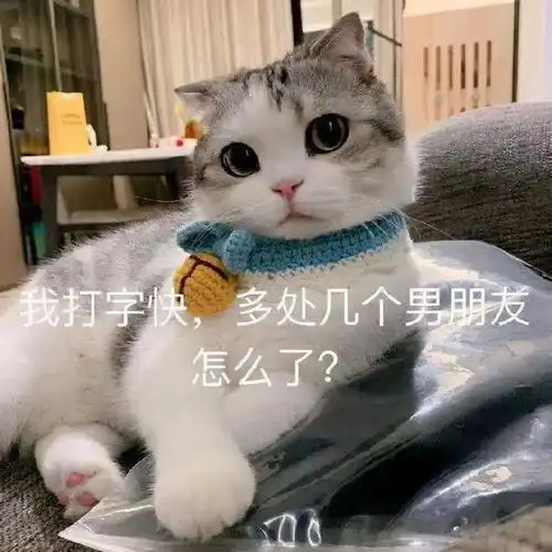  搞笑表情包更新只想做你一个人的舔狗