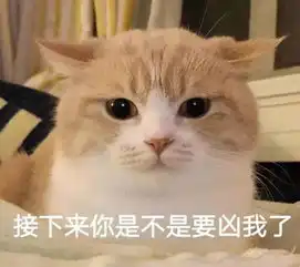  喵星人给你丢了个表情包你算哪块小饼干