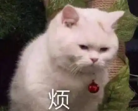  表情包在我眼里你还嫩着呢