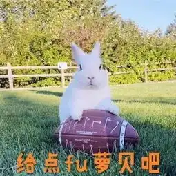  99的连篇骚话,却输给了1的表情包