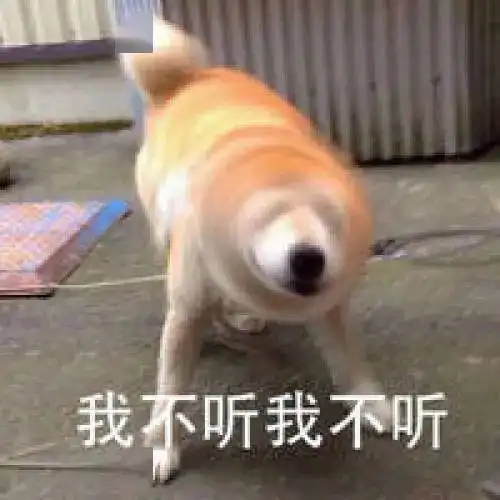  给狗子起名要慎重,不然尴尬的可是你